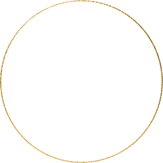 Gold circle geometric frame